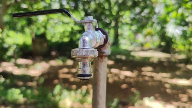 Dripping Outdoor Water Faucet in a Lush Green Garden Background.