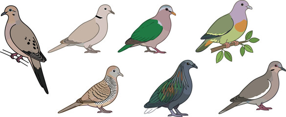 Obraz premium Doves with Colorful Plumage Perched on Branches and Ground Featuring Dove, Bird, Branch with Nature