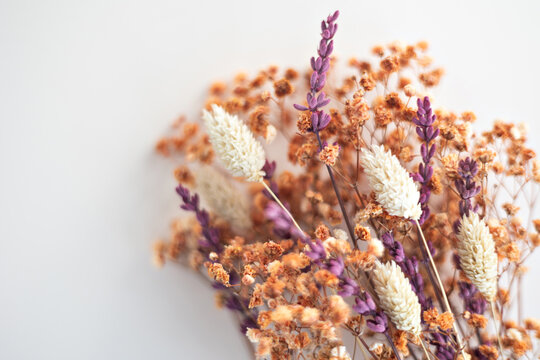 Dried flower bouquet featuring lavender and lagurus ovatus rustic composition