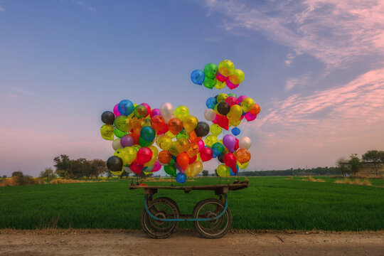 Vibrant Balloon in mustard fields