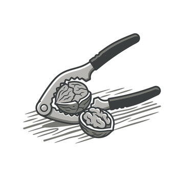 Metal nutcracker tool cracking a whole walnut shell.