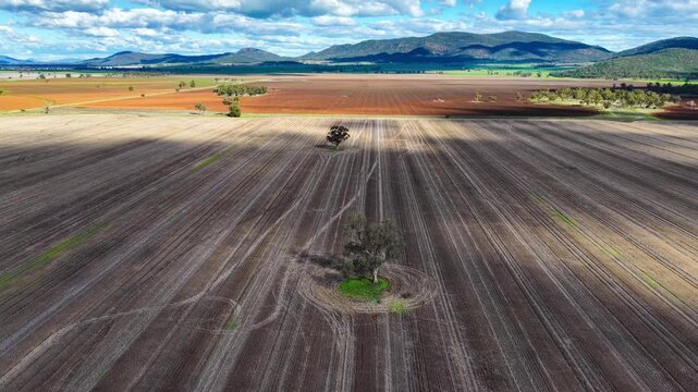 Aerial video flying over cultivated farmland near Gunnedah, NSW, Australia. The cultivated soil forms striking geometric patterns and textures
