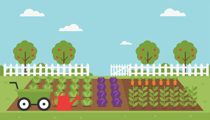 Naklejka premium Backyard vegetable garden scene with organized rows of growing crops, a wheelbarrow, and a red watering can.