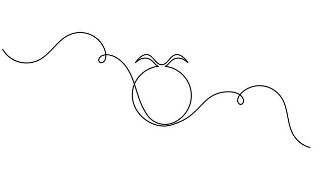 Continuous single line Taurus symbol animation minimalist one line art horoscope video intros and bull zodiac predictions astrology YouTube channels motion graphic moving on white background