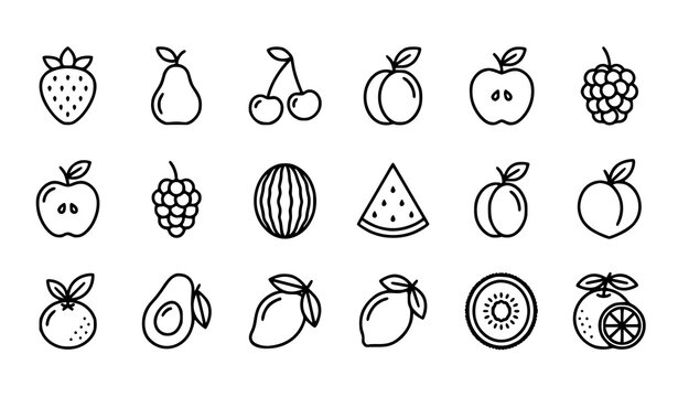 Modern Linear Orchard and Tropical Fruit Thin Line Vector Icon Collection with Watermelon Citrus and Stone Fruits