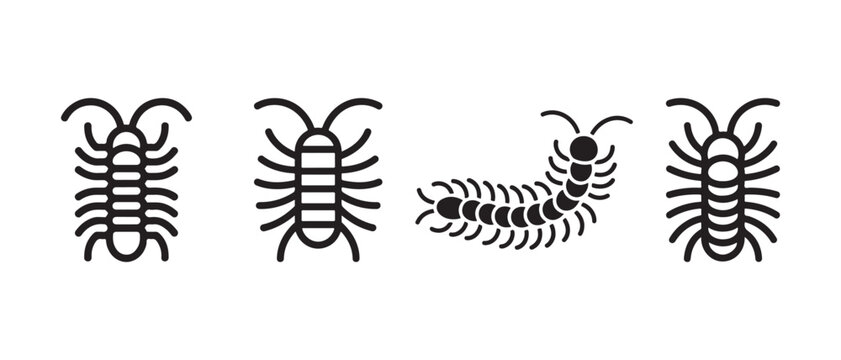 Centipede icon set. Minimalist insect vector symbols for pest control or biology design.