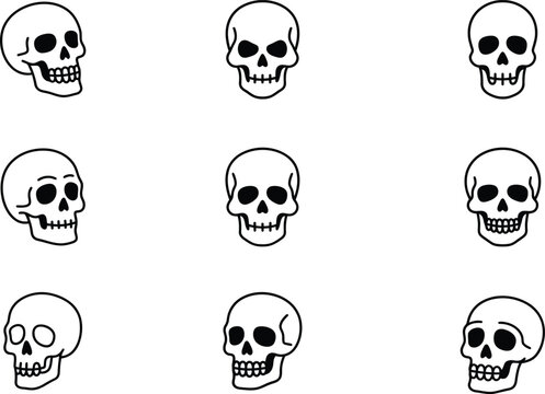 Halloween skulls and skeletons vector illustration with skeletons