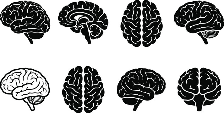 Set of black and white human brain icons showing various anatomical views and perspectives for medical research