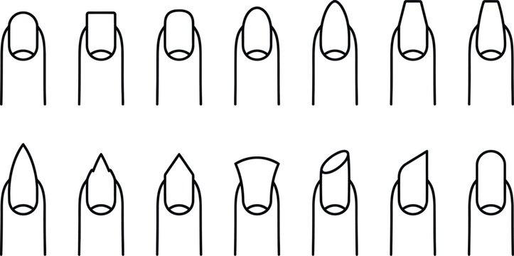 A collection of various fingernail shapes and styles illustrated in a simple black and white line art format