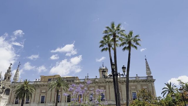 Seville Cathedral exterior with flowering jacaranda trees on a sunny day in Andalusia, Spain