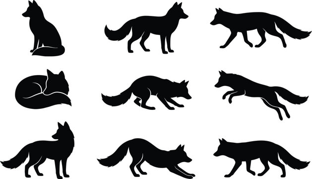A collection of black fox silhouettes in various poses including sitting walking running and sleeping presented as a high quality vector illustration set