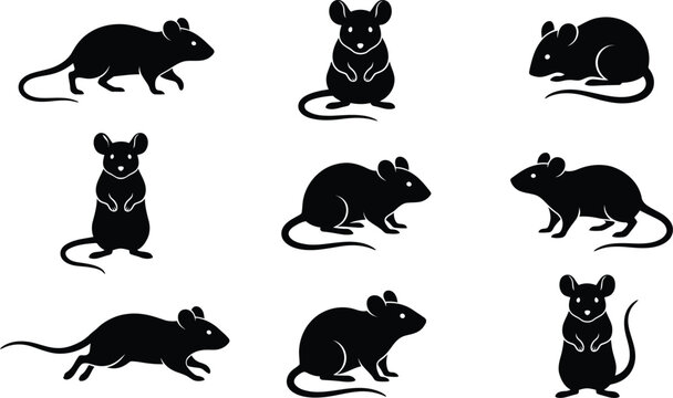 A collection of black silhouette illustrations featuring various poses of rats and mice in a simple artistic vector graphic design style