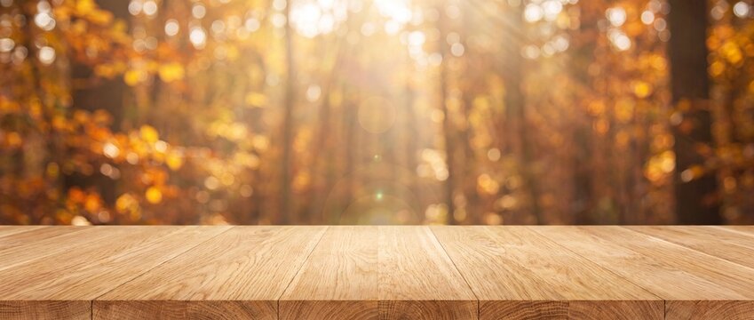 Empty wooden table top with blurred autumn forest background