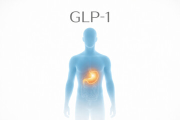 GLP1 hormone regulating appetite in human body illustration, medical concept © dvoevnore