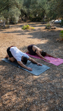 Outdoor Yoga Session: Two individuals practice yoga poses on yoga mats in a serene outdoor setting, surrounded by trees and dappled sunlight, promoting well-being and tranquility.