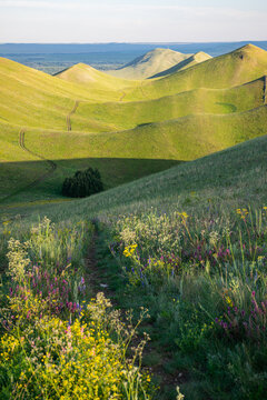 Summer sunny day at Dolgiye Mountains in the Orenburg region, Russia. Hilly terrain, mountain fields. The beginning of the Ural Mountains.