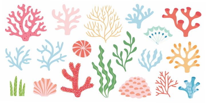 Coral reef illustration collection vibrant vector graphics on white background