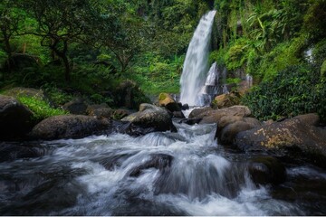 Waterfall cascading through lush forest rocks. Serene nature scene with flowing freshwater stream in green wilderness. © Ali Ahmad