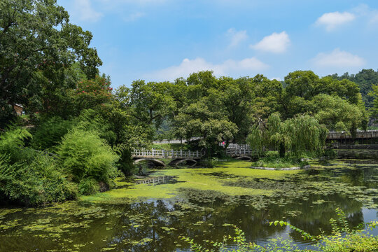 경상남도 함안군 무진정 연못, Mujinjeong Pond, Haman-gun, Gyeongsang-namdo

