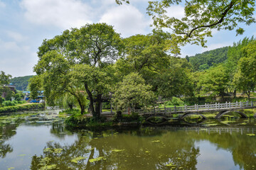 Fototapeta premium 경상남도 함안군 무진정 연못, Mujinjeong Pond, Haman-gun, Gyeongsang-namdo 