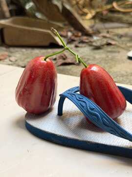 Fresh Red Wax Apples with Stems 