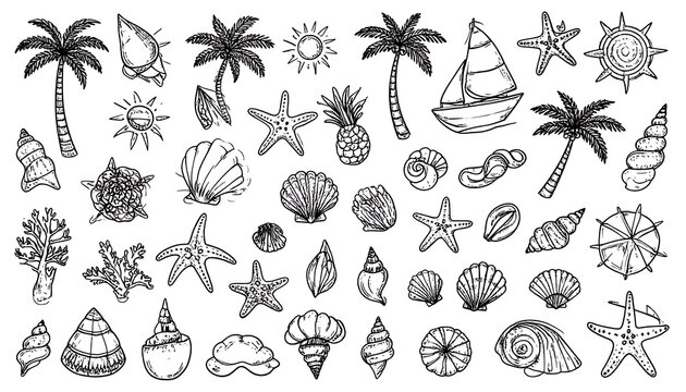 Collection of hand-drawn tropical beach elements, palm trees, seashells, starfish, and sailboats in a playful doodle style