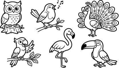 Naklejka premium Cute birds coloring page set featuring owl songbird peacock parrot flamingo toucan line art