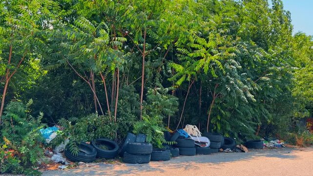 Illegally dumped car tires and trash by roadside green bushes. Stack of old black rubber tires and plastic debris pollutes ground next to dense foliage.