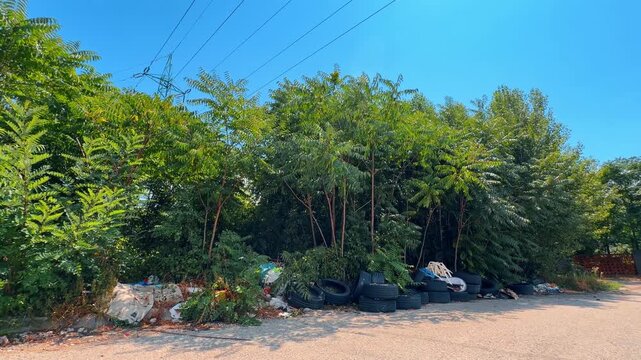 Discarded car tires and waste pile near green bushes. Dumped black tires, plastic debris, wooden frame, overgrown trees, power pole, asphalt road, blue sky.