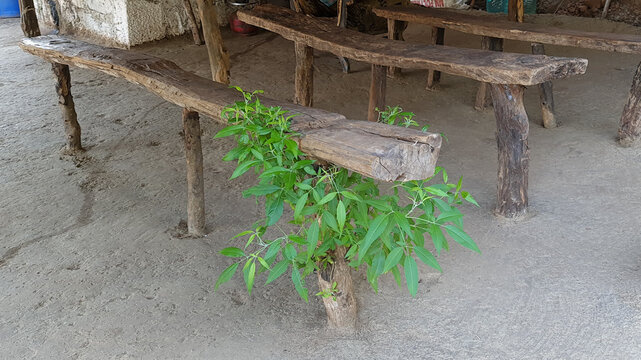 Rustic wooden benches at Prabalgad trek rest stop Maharashtra India