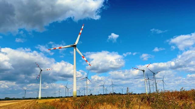 Row of wind turbines behind dry plants in a rural field under a blue sky. Tall white generators operate in an open agricultural area with golden wild thistles in the foreground.