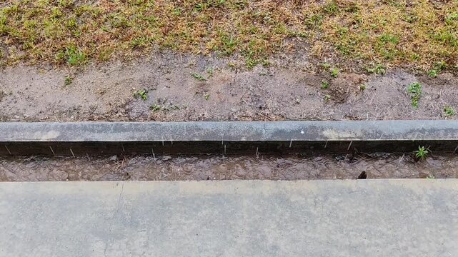 ​A high-angle shot showing heavy raindrops falling onto a concrete walkway and flowing into a roadside drainage gutter beside a grassy patch during a downpour.