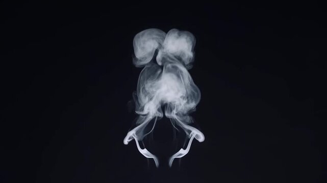 Slow motion tracking shot of smoke plumes rising and swirling against black background in studio