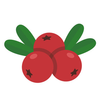 Cranberry Bunch Clipart Flat Vector Logo Icon Illustration