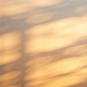 Late afternoon window shadow background