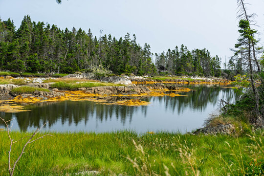 Paysage, LaHave (La H&egrave;ve), Nouvelle &Eacute;cosse, Canada