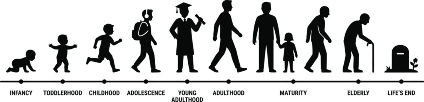 Human life cycle silhouette timeline showing stages from infancy to toddler childhood adolescence and old age