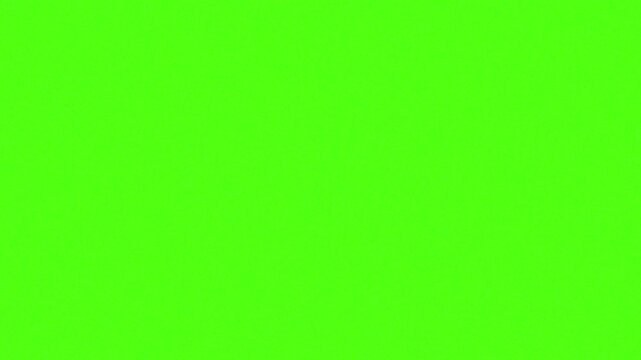 Vibrant Green Background: A plain, solid bright green background perfect for graphic design and creative projects.