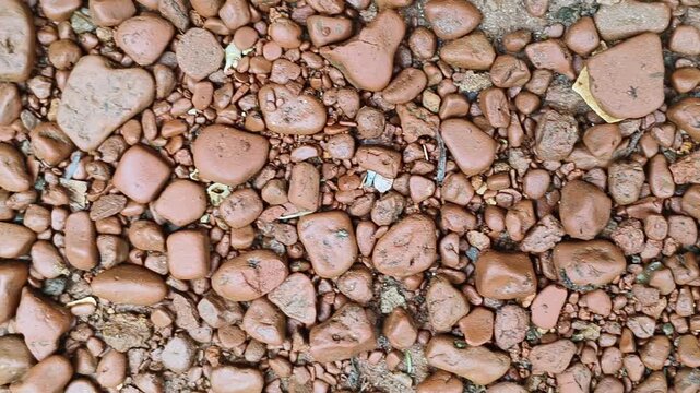 Closeup of wet pebble stone sediments on earth surface. Abstract pebble stones pattern on ground surface background texture. Moisture muddy and dirty land terrain on monsoon season.