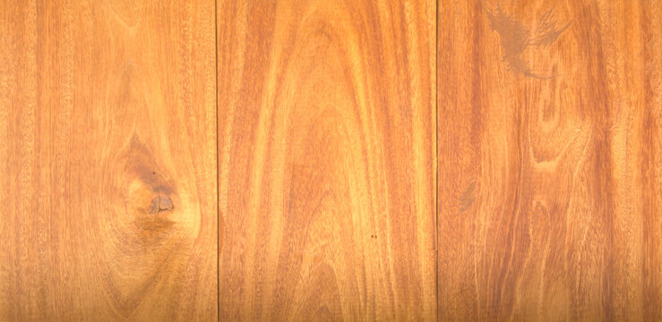 Dark brown wood grain interior design