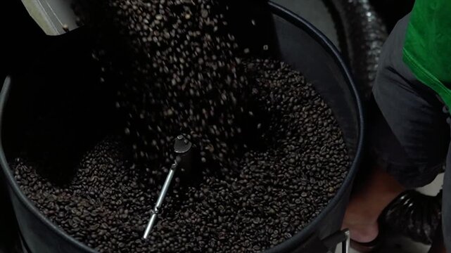 Freshly roasted coffee beans pouring into cooling tray of roaster machine in 4k video.