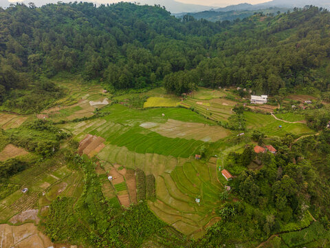Rice terraces in Babakan Madang
