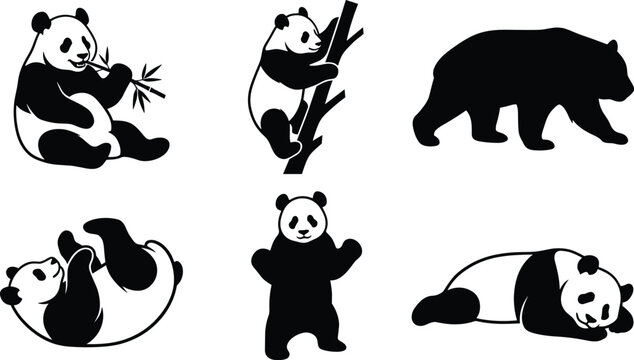 Stylized panda silhouettes in sitting, climbing, walking, lying, and standing poses showcasing playful wildlife animal behavior