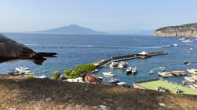 Cinematic panning video starting with a seagull perched on a wall and revealing Marina Piccola port, Sorrento, and the Gulf of Naples. Travel footage of Italy.