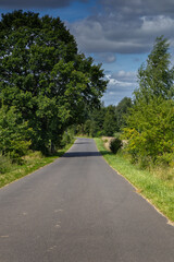 The Iława Lake District: the road to the village of Matyty bathed in summer sunlight. © Leszek