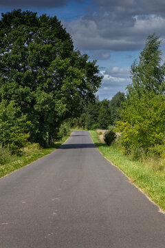 The Iława Lake District: the road to the village of Matyty bathed in summer sunlight.