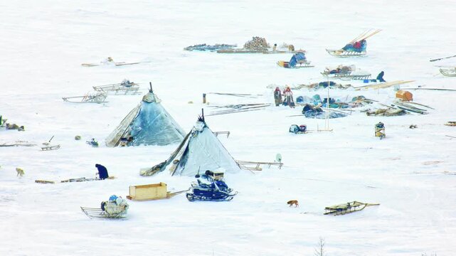 Nomadic Nenets people managing their winter encampment with traditional tents and sleds in Siberia