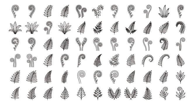 Koru fern symbols and silver fern leaf icons set, 60 black botanical vector elements, Maori inspired spiral koru patterns for logo design