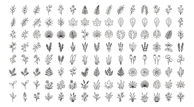 Hand drawn botanical line art icons, set of 112 minimalist floral vector elements, black and white wildflower and leaf sketches for wedding branding