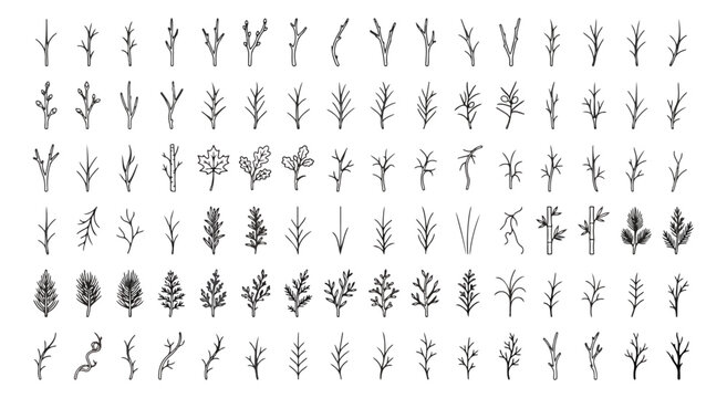 Hand drawn botanical branch collection, minimalist tree twig vector set, black ink floral line art elements for wedding invitations and logo design
